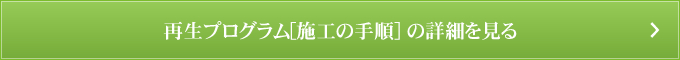 再生プログラム[施工の手順] の詳細を見る