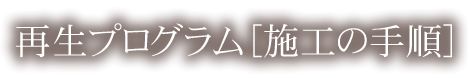 再生プログラム[施工の手順]